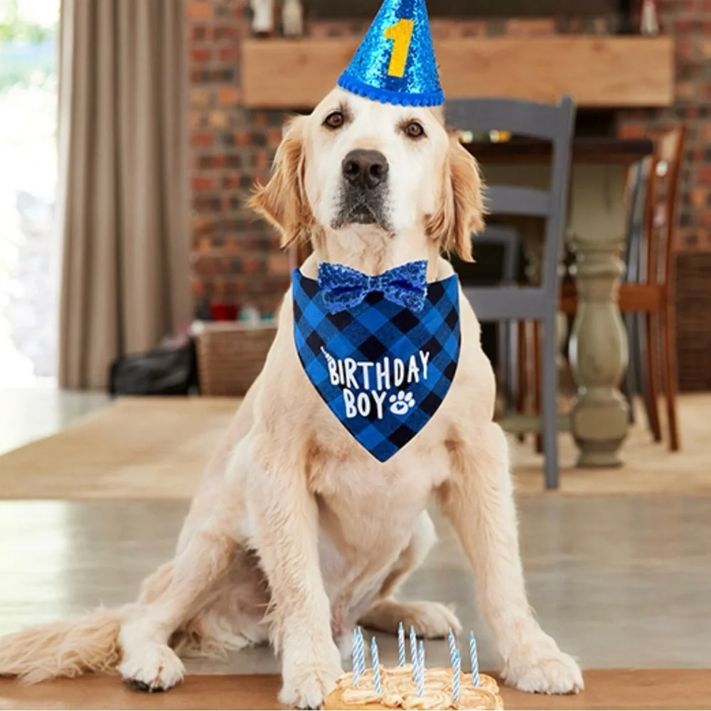 Dog Birthday Boy Party Set Bandana Hat Bow Tie NWT